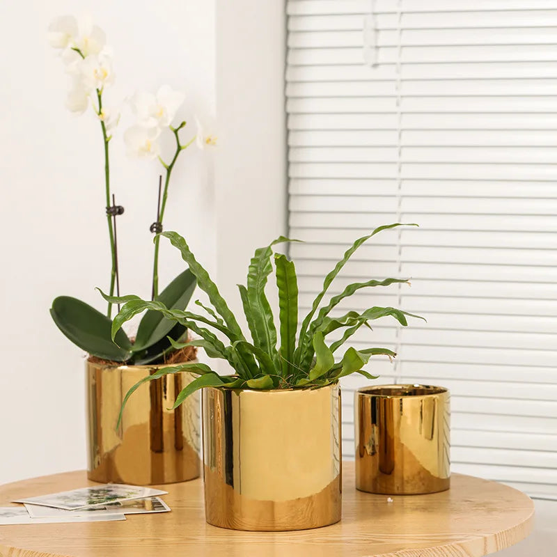 Customized Gold Ceramic Flower Pot Set for Home Elegant Plant Pots