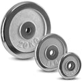 Cheap Weight Plates Free Weights Gym Equipment Fitness Silver Cast Iron Barbell Dumbbell Weight Plate