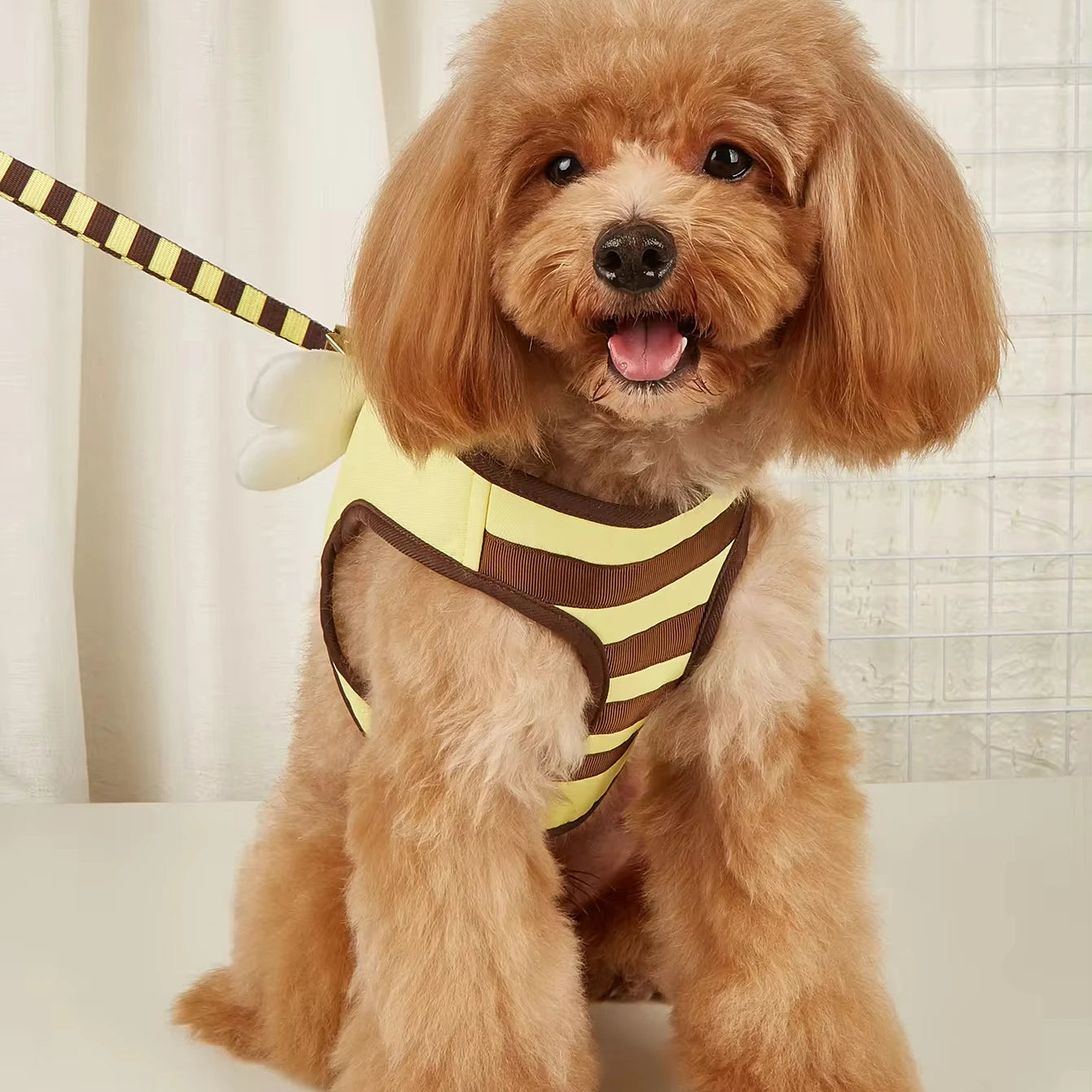 MIDEPET New Arrives Step in Dog Harness and Leashes Set Yellow Color Bees Design With Wing Dog Leads and Harness Set