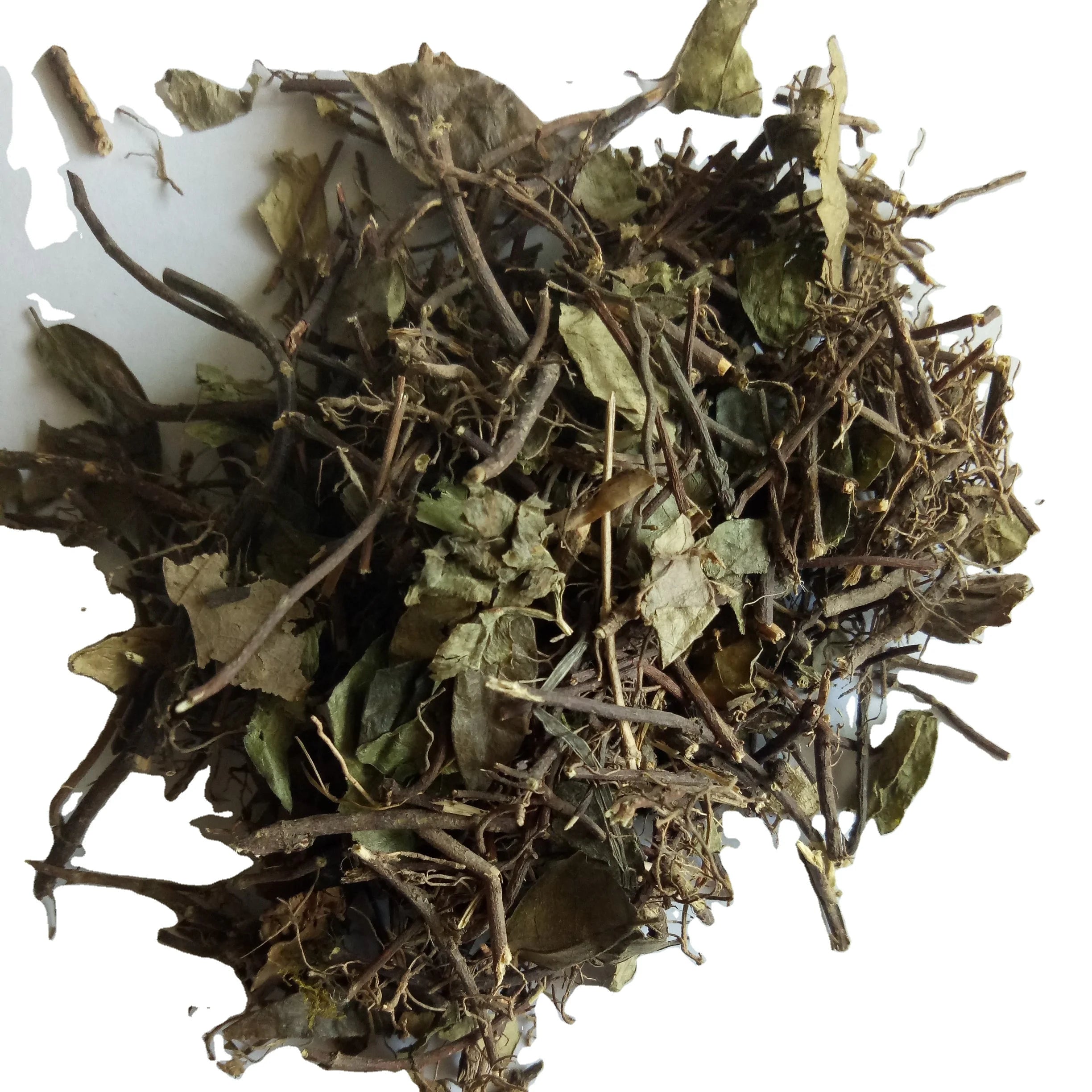 Luo Shi Teng Wild Herb Dried Confederate Jasmine Star Jasmine Vine Stem Leaf Plants Cuts for Sale