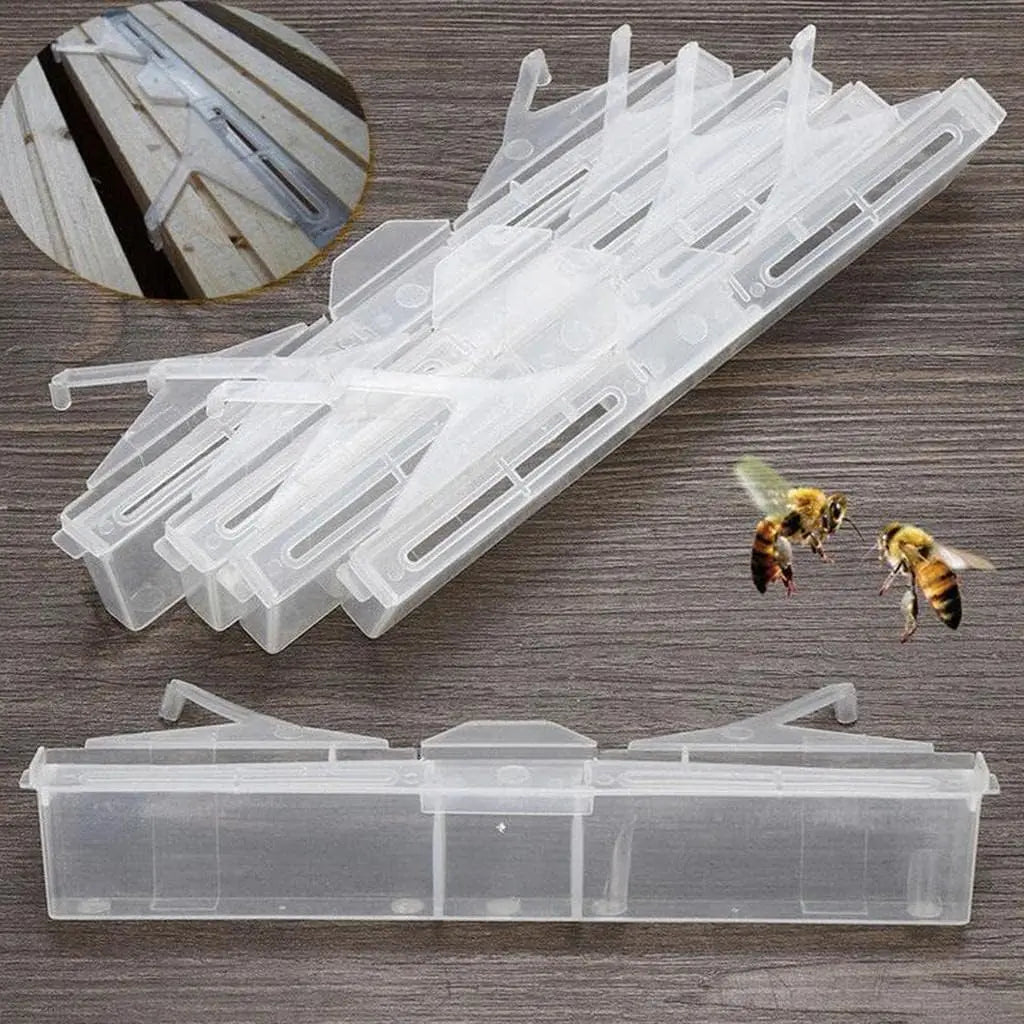 New Plastic Beehive Beetle Trap Beekeeping Tools