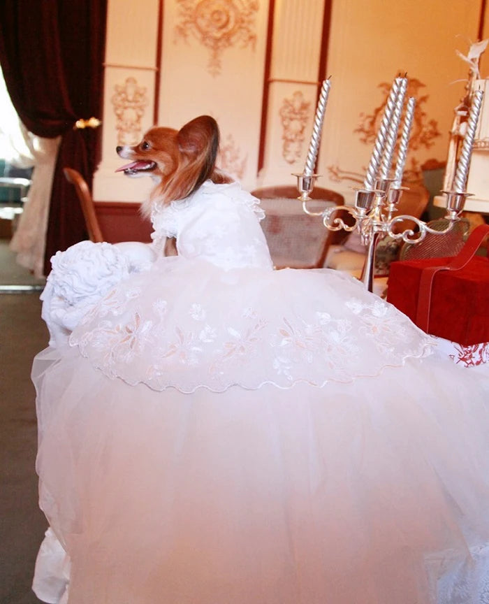 Wholesale Luxury High Quality Long Tail Pet Dog Wedding Dress
