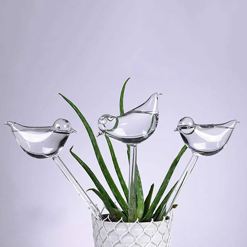Hot Selling Premium Clear Glass Flower-Watering Device Premium Irrigation Tool