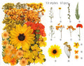 E076 45-110 PCS Mixed Real Dried Pressed Flowers Leaves DIY Floral Decors for UV Gel Nail Art Tips Face Decor