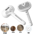 5-in-1 Rechargeable Cat Steam Brush Custom Logo Pet Grooming Spray Comb for Efficient Fur Removal & Spa Massage for Dogs