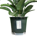 Round Garden Indoor Outdoor Modern Self Watering Plant Containers Planter Plastic Flower Pots Plant Pot