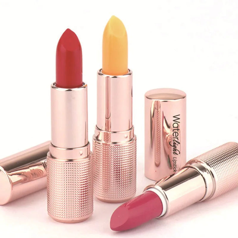 New Lipstick Tube Design High Pigment Matte Lipstick Custom Natural Hala Lipstick