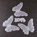Wholesale Embroidered Big Size Transparent Color Butterfly Love Shape Iron-On Sequin Patches for Woman Jeans and Hats