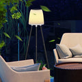Holiday Outdoor Waterproof Solar Floor Lamps Indoor Courtyard Decorative Garden Led Solar Floor Light With Plant Stand