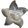 Wholesale natural stones crystal hand carved agate geode starfish for decoration
