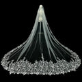 S7691F New Super Immortal Long Tail High -end High -level Lace Tail Bridal Veil Wedding