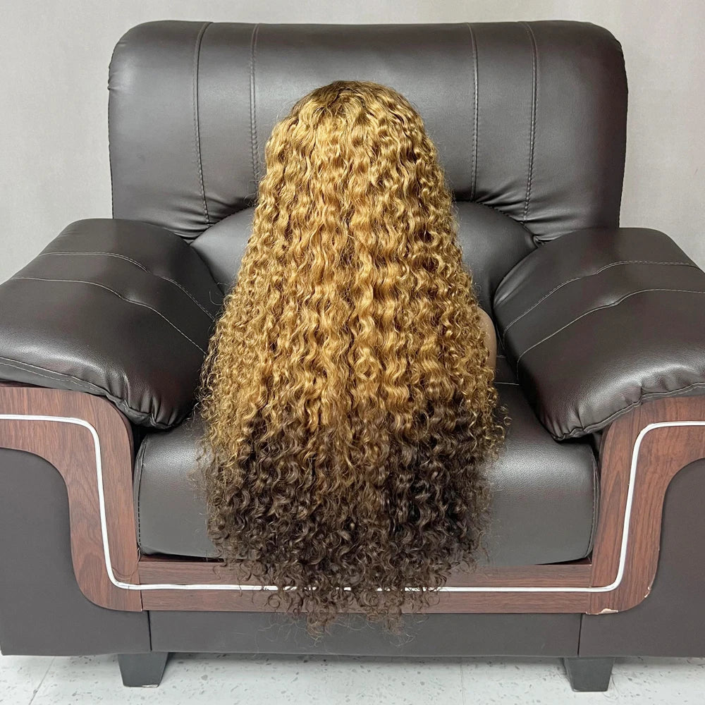 Glueless Brazilian Luxury Curly Wig Cheap Curly Human Hair Wig Frontal Lace Human Hair Wigs