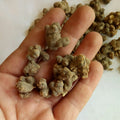 Xia Tian Wu Organic Herb RHIZOMA CORYDALIS DECUMBENTIS for Sale