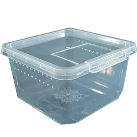 Convenient Large Size Transparent Plastic Reptile Feeding Box