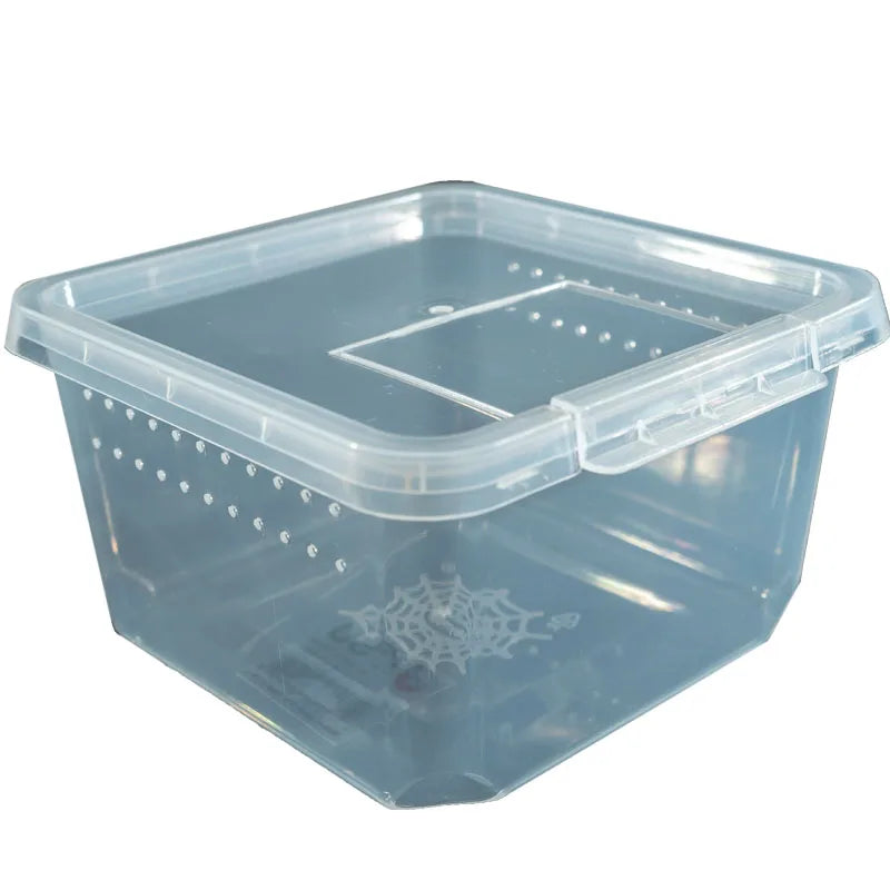 Convenient Large Size Transparent Plastic Reptile Feeding Box