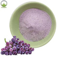 100% Best Selling Products Natural Organic Grape Seed Extract Powder