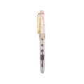 Transparent Different Nib Piston Filling Fountain Pen Fine Nib Gold Trim Marker Nib Calligraphy Soft Brush Pen Set