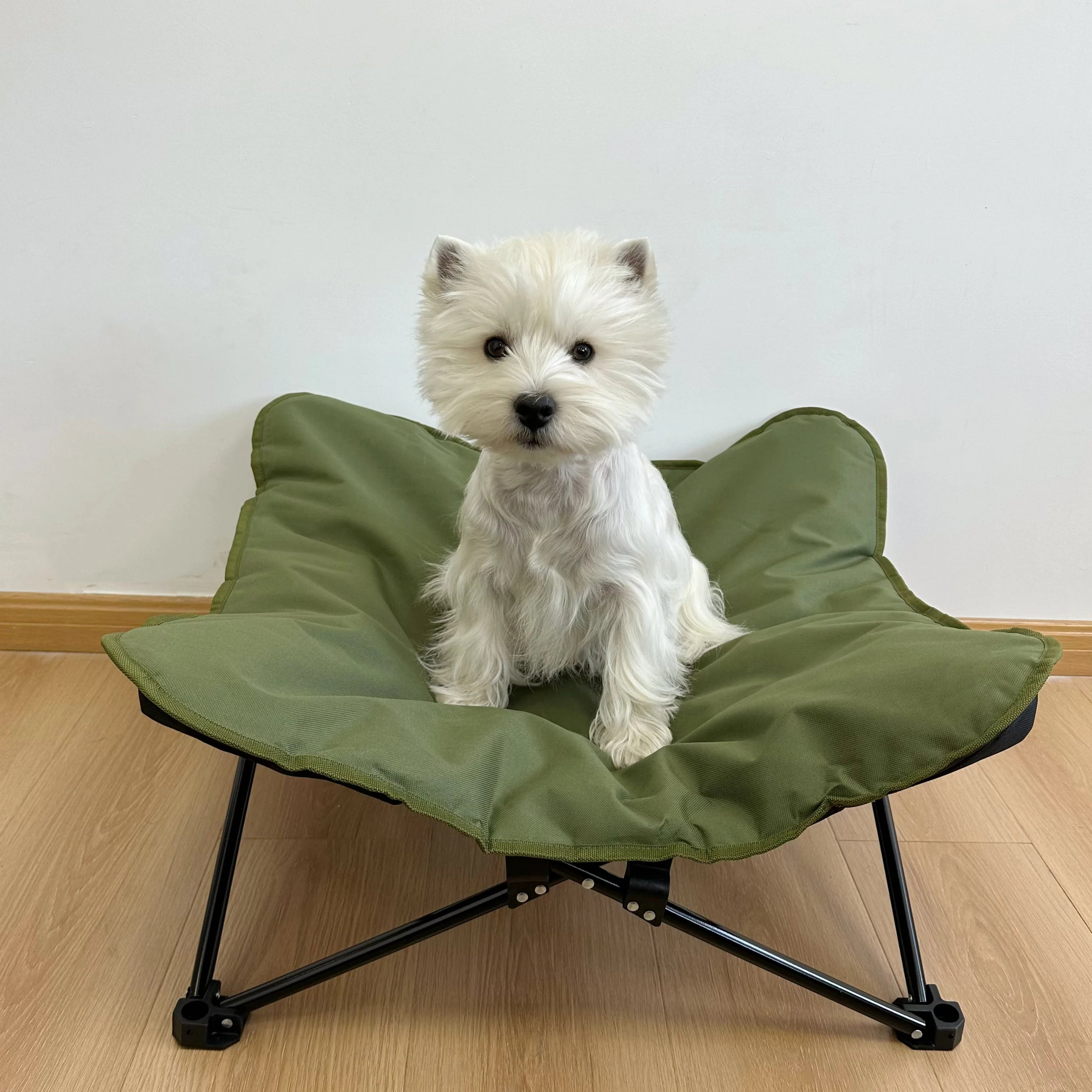 Portable Elevated Dog Bed Folding Pet Cot for Indoor Outdoor Traveling Camping