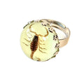 Cool Insect Ring Adjustable Resin Jewelry Glowing Ring in the Dark Real Insect Specimen Yellow Black Scorpion Ring for Men
