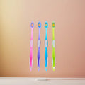 Toothbrush Wholesale Factory Low MOQ Good Quality Medium Brisltes  Adult Toothbrush for RTS