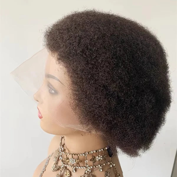 DX268 Full Lace  Short Wig Box Braids  Wigs for Braiding Afro Kinky Curl Brazilian Raw Cheap Curly Braid Pre Plucked Human Hair