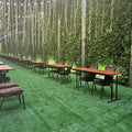 Easy Install UV Resistant Custom Sports Landscaping 20mm Artificial Green Floor Synthetic Grass Carpet in Rolls