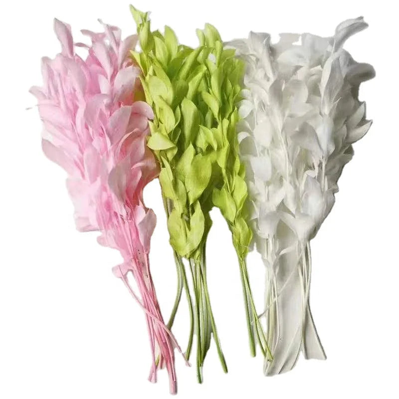 Decorative Dried Natural Preserved Ruscus Leaves Branch Real Dry Rich Valuable Botanical Foliage for Home Decor Wedding
