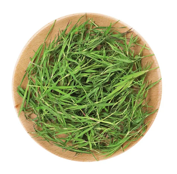 1000g Shi Zhu Cha New Collected Organic Phyllostachys Young Leaf Loose Raw Clean Wild Bamboo Leaf Tea