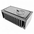 Black Anodized Custom Heat Sink 216(W)*83(H)*110(L)mm Water Proof Light Heatsink SK102 Heatsink Extrusion