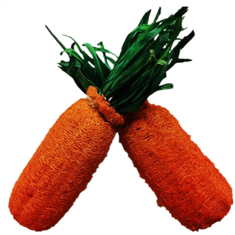Small Animal Oral Care Tool Eco-Friendly Rabbit Molar Hamster Chewing Toy with Carrot Design Loofah Chew for Pets