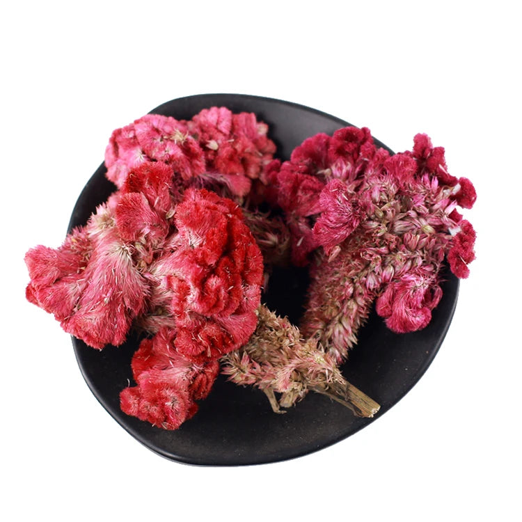 High Quality Natural Dried Cockscomb Flower White/red Celosia Cristata Flower