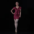 Baiwu ODM/OEM Sequin Performance Dance Dresses Stage & Dance Wear 17AX1003