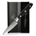 New Design 3.5 Inch Damascus Steel 67 Layers Fruit Knife Paring Knife with Micarta Handle