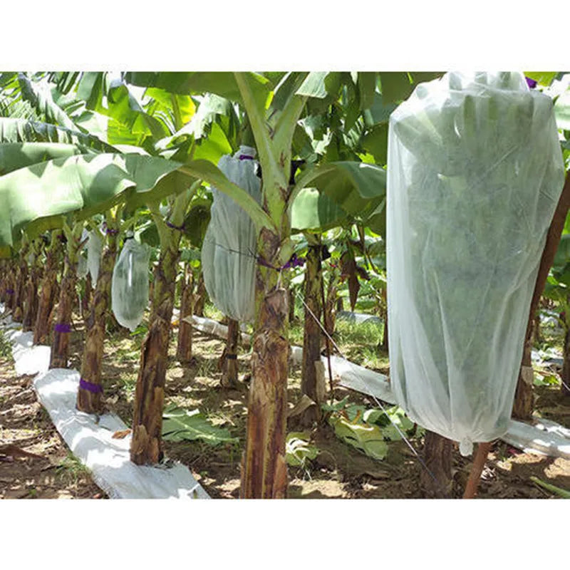 PP Non Woven Fabric in Roll Agriculture Anti Uv Nonwoven Fabric for Banana / Plant Covers protection