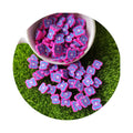 500g/Lot Mini Purple Color Butterfly Polymer Clay Slices Sprinkles for DIY Crafts Slime Fillers Supplier
