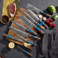 9Pcs Knife Set Damascus Kitchen Knife 67 Layers Damascus Steel with Blue Resin Wood Handle Factory Wholesale