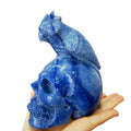 Blue Aventurine Skulls with Parrot 15 cm Natural Blue Gem Crystal Stone 1-1.4 kg Hand Engraving Skulls Sculpture