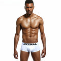 High-end Quality Men's Combed Cotton Breathable Boxers Briefs Custom logo Sports Fitness Absorb Sweat Underwear
