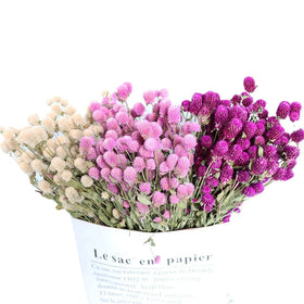 Factory Wholesale Dried Flower Amaranth pink White Dried Flower Bouquet Home Decoration Bouquet Diy Dried Flower