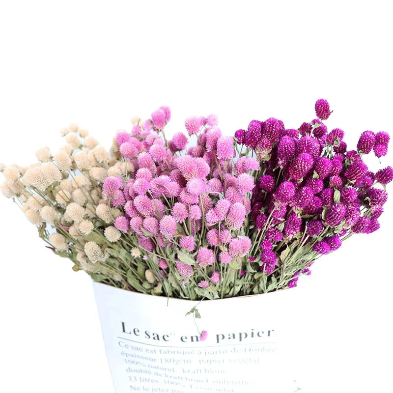 Factory Wholesale Dried Flower Amaranth pink White Dried Flower Bouquet Home Decoration Bouquet Diy Dried Flower
