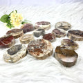 Wholesale Natural Crystal Polished Specimen Petrified Wood Fossil Slab Rough Stone Slice