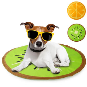 AFP Hot Sales Washable Summer Fruit Kiwi Orange Pet Cool Dog Bed Pad Chilly Pet Cooling Gel Mat for Pets Dogs Cats