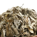 Aicao Premium Dried Chinese Mugwort Leaf Green Sliced Common Mugwort Leaves for Tea