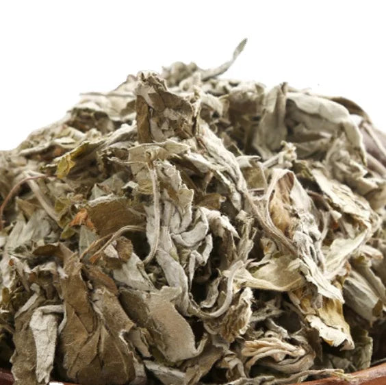 Aicao Premium Dried Chinese Mugwort Leaf Green Sliced Common Mugwort Leaves for Tea