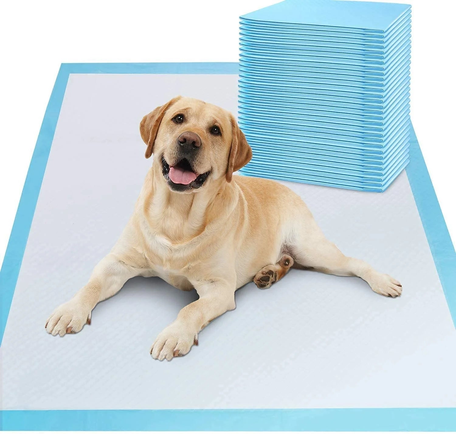 Huali Economical Custom Waterproof Mat Training Pet Pads for Dog