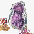 Wholesale Natural Beautiful Gemstone Raw Amethyst Crystal Cluster Carving for Gift Decoration