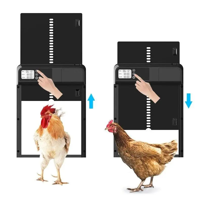 Automatic Chicken Coop Door H0Qex Automatic Poultry Door