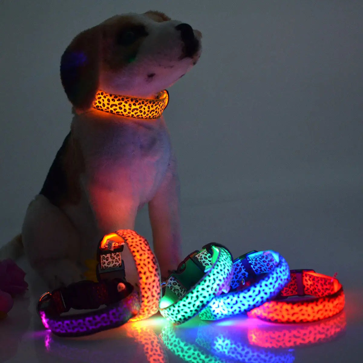 Wholesale Cheap Rechargeable LED Dog Collar Waterproof Nylon Pet Collar with Reflective Ribbons and Print Pattern