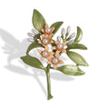 Vintage Gold Leaf Brooch Gold Plated Metal Brooch Pin for Women Gift