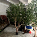 150 180 210cm Green Landscape Indoor and Outdoor Fake Fruit Artificial Olive Tree Potted Plant for Home Office Living Room Decor